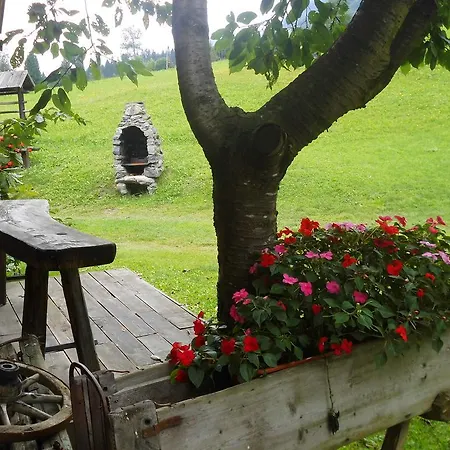 奥贝加贝霍夫酒店 公寓 锡利安