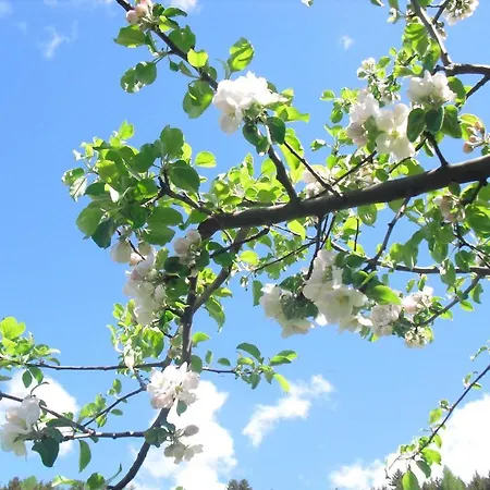 公寓 奥贝加贝霍夫酒店 锡利安