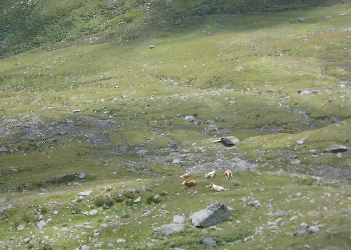 Obergarberhof Lejlighed Sillian