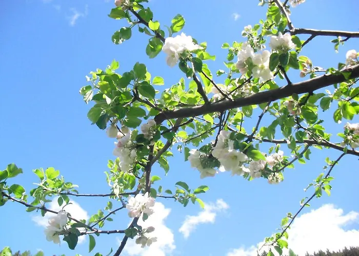 Lejlighed Obergarberhof Sillian