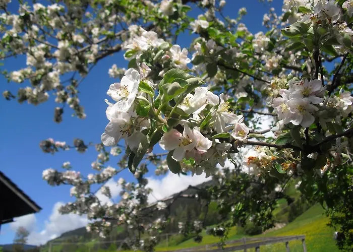 Obergarberhof * Sillian