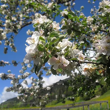 Obergarberhof * Sillian